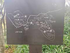 -南山植物园
