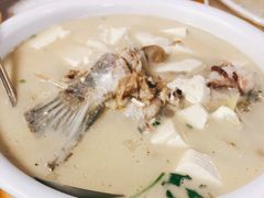 芜茜豆腐鱼汤-鸽王世家(东华东路店)