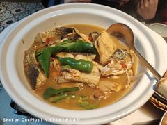 -東大方(安吉灵芝店)