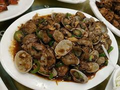 -鸿达渔港