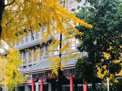 -四川大学(华西校区)