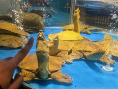 -江南赋(内蒙古大厦店)