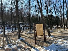 -北京西山国家森林公园