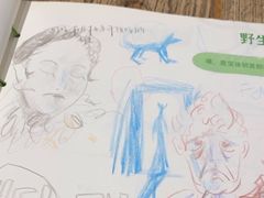 -宝珠奶酪(长宁金虹桥店)