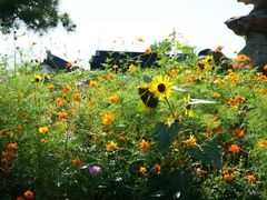 -武清南湖绿博园