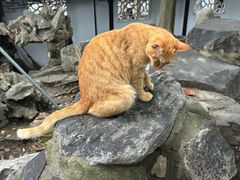 -西园戒幢律寺