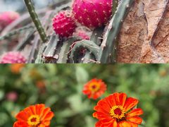 -南通洲际绿博园