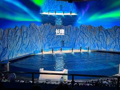 -珠海长隆海洋王国