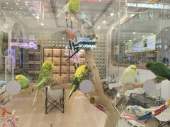 -万达广场(北京槐房店)