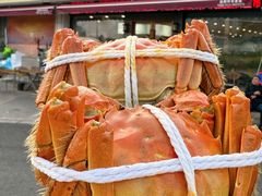 -品鲜村农家菜·阳澄湖大闸蟹(总店)