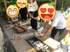 -吴淞炮台湾湿地森林公园烧烤区