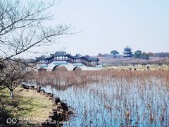 -上海海湾国家森林公园