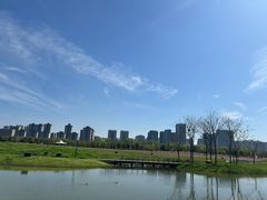 -洋湖国家湿地公园