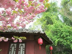 -窦圌山风景区