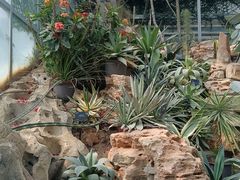 -国家植物园南园