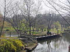 -采石矶景区