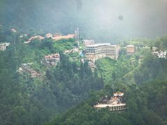 -维乐口腔医院(星海湾分院)