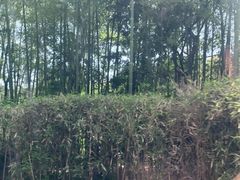 -天目湖涵田度假村