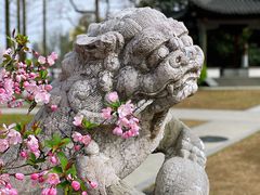 -莫愁湖公园