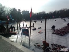 -紫竹院公园冰场