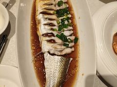 -金美华轩(东方路齐鲁店)