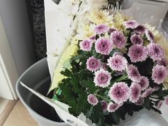 -双季花艺园艺市场(浦东店)