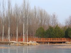 -张家湾公园