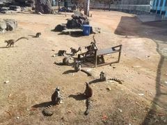 -秦皇岛野生动物园