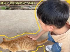 -西双版纳傣族园