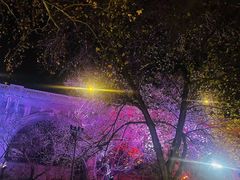 -武昌江滩