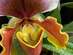 -国家植物园南园