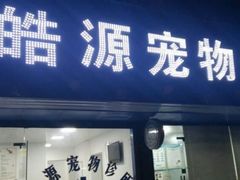 -艾吉宠物医院·疑难杂症转诊中心·猫友好(碧江路院)