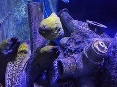 -成都浩海立方海洋公园