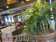 -甘家界牌柠檬鸭(青山店)