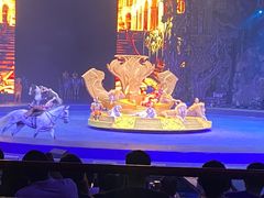 -广州长隆国际大马戏