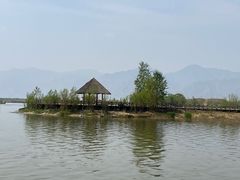 -哈素海
