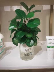 -Hi Beauty Skin 科技美肤中心