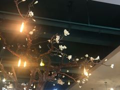 -梧桐树下(云锦世家店)