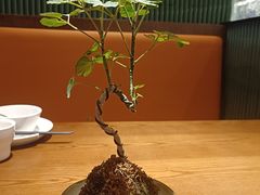 -小户人家(循礼门南国中心店)