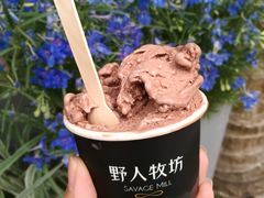 -野人先生现做冰淇淋(北京顺义祥云小镇店)