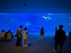 -鹿儿岛水族馆