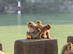 -白帝城·瞿塘峡景区