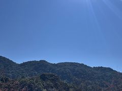-广州市石门国家森林公园