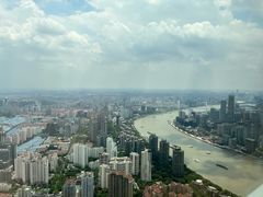 -The lounge 柏悦酒店大堂酒廊(上海环球金融中心店)