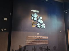 -隋唐大运河文化博物馆