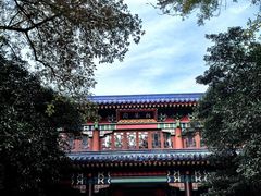 -灵谷景区