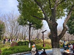 -堤角公园