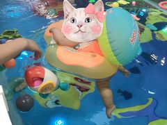 -蓝鲸奇亲子游泳俱乐部