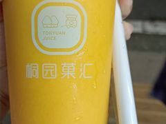 -桐园果汇(湖贝店)