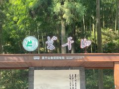 -莫干山风景区